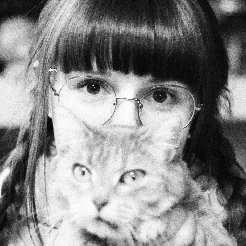 Yukkee